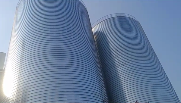 梅县2座混凝土高架卷板仓